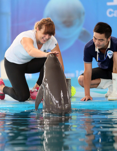 面对消费市 面对消费市